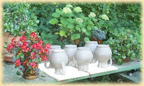 the studio garden